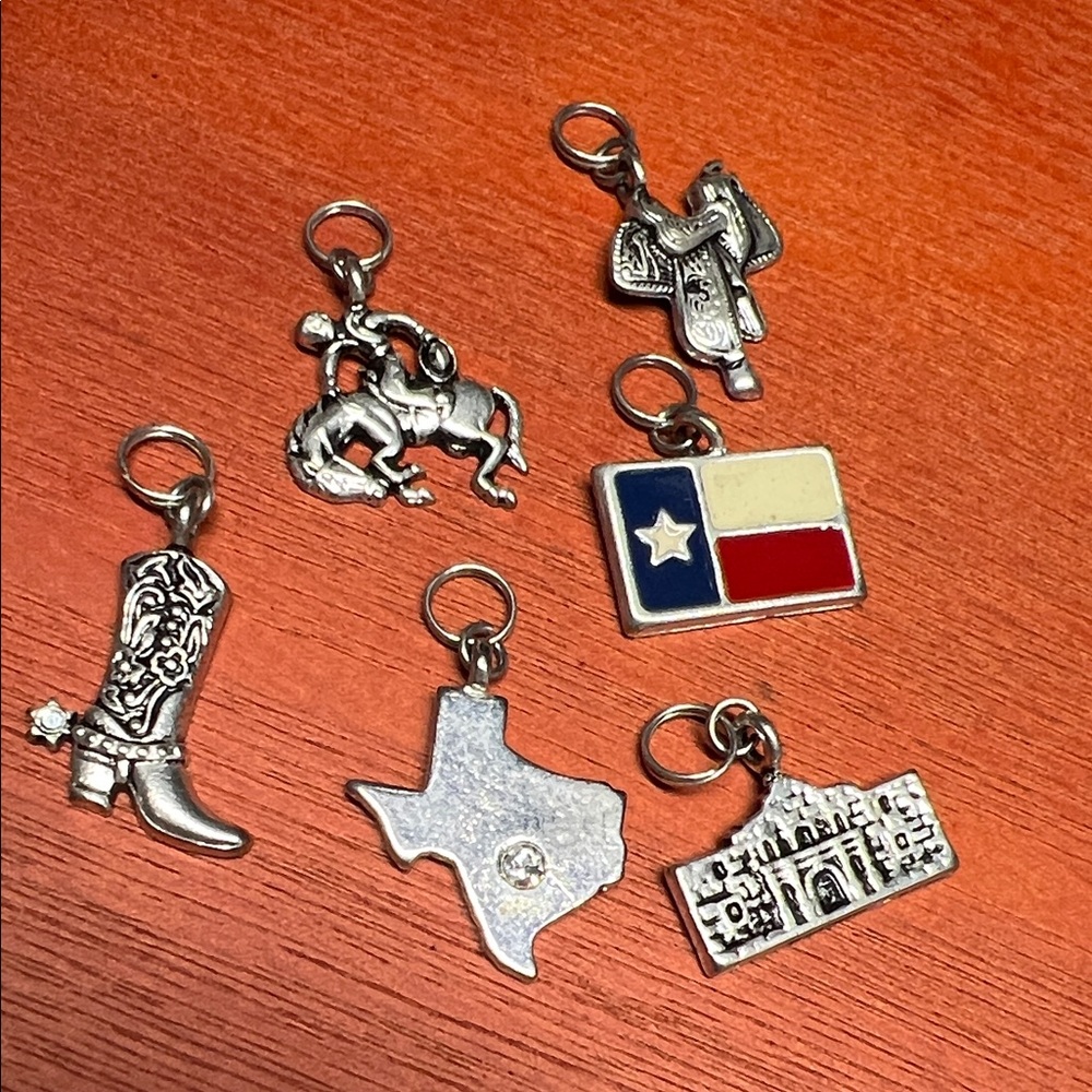 Assorted Texas Charms 6